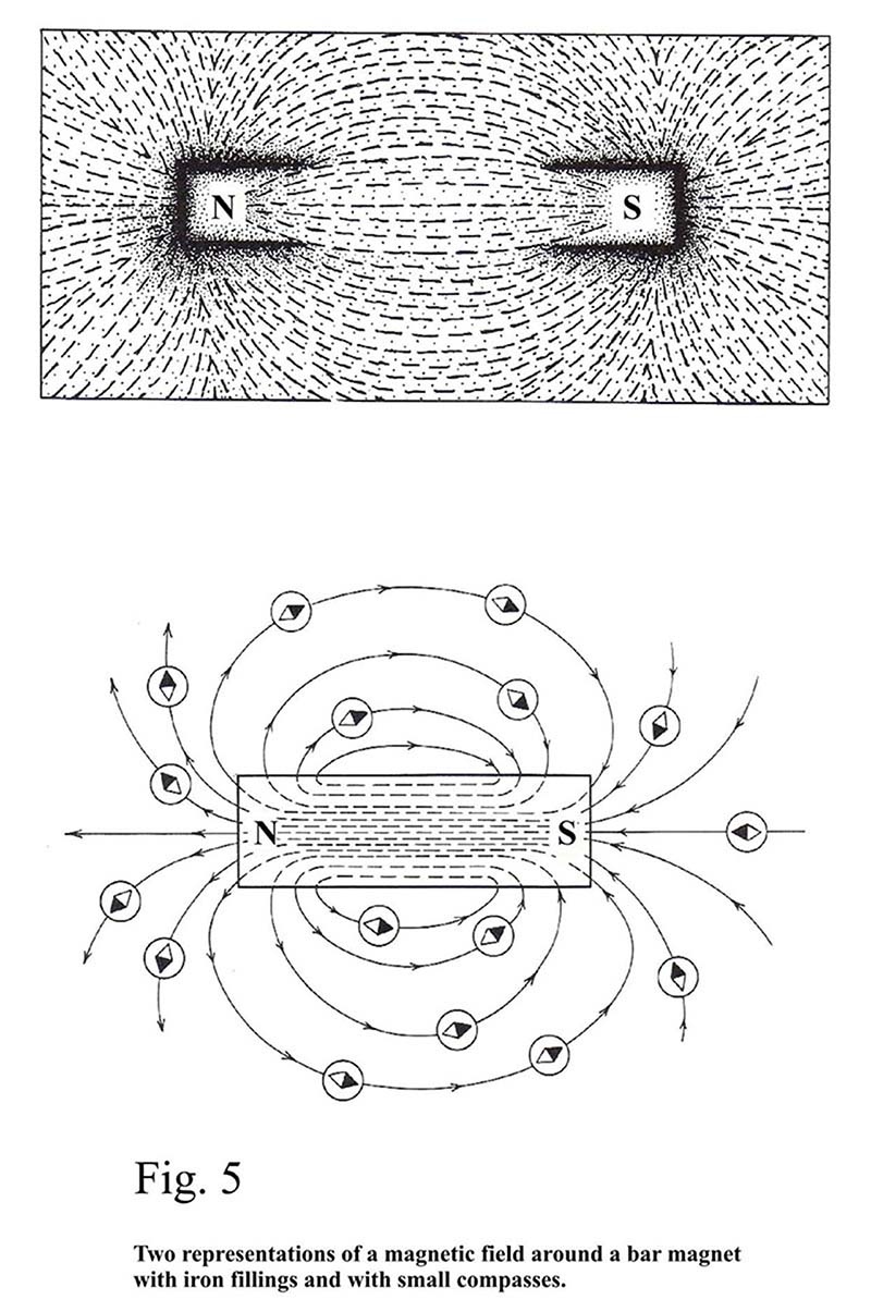 FIGURE 5.jpg