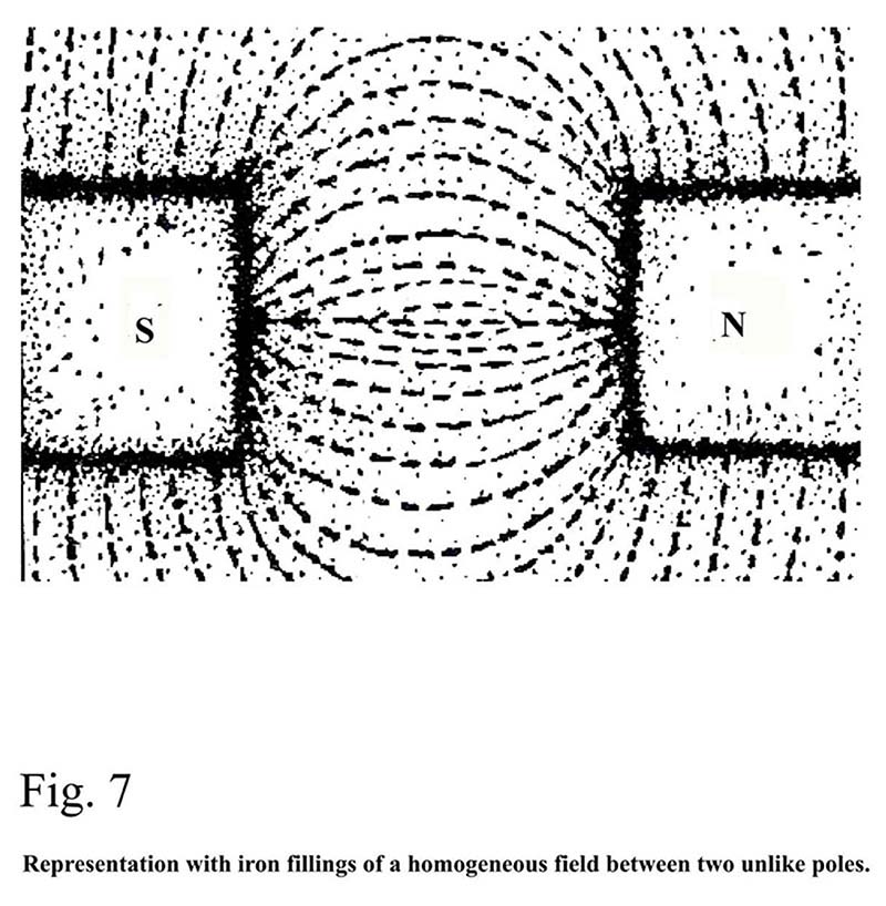 FIGURE 7.jpg